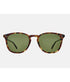 Kinney Sun - Bourbon Tortoise / Semi-Flat Pure Green